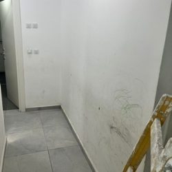 יוסף עמרמי צבע לפני