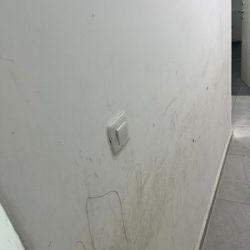 יוסף עמרמי צבע לפני